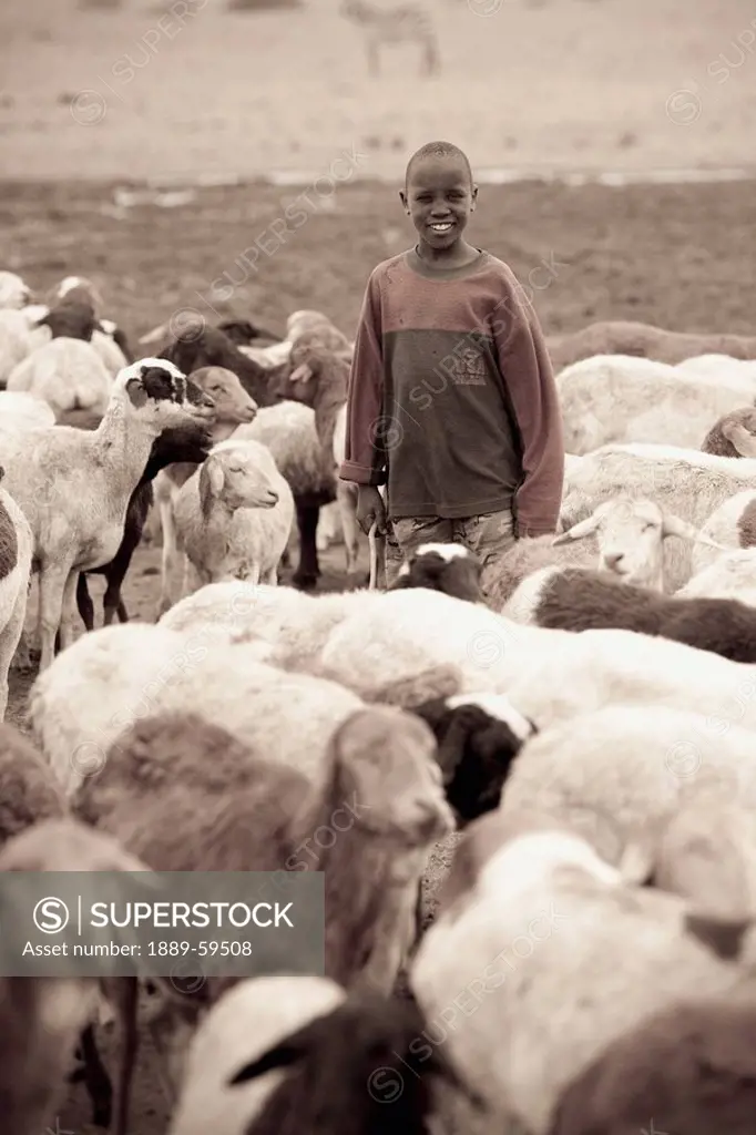 Boy with goats, Kenya, Africa