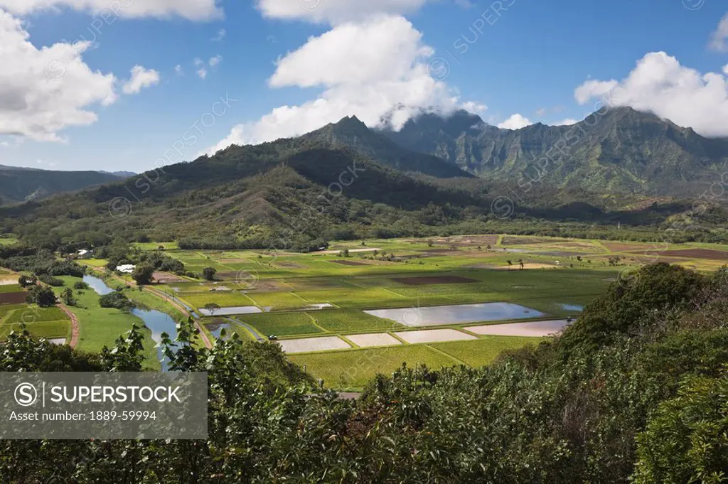 Kaua&699,I, Hawaii, United States Of America, Hanalei Valley With Taro Fields, Hanalei River And A Lush Mountain Backdrop