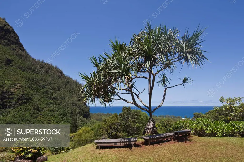 Kauai, Hawaii, United States Of America, Open Park Area Of The Limahuli Garden Of The National Tropical Botanical Garden With Sitting Benches And A Vi...