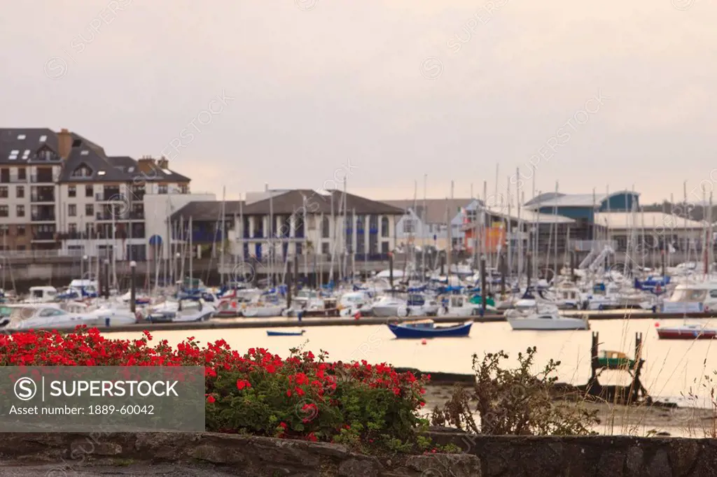 Malahide, County Dublin, Ireland, Boats In The Harbour And Property Along The Waterfront