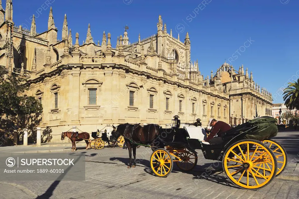 Seville, Andalusia, Spain, Horses And Carriages In Front Of Cathedral Of Seville