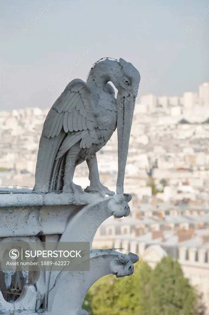 a pelican gargoyle overlooking paris, paris, france