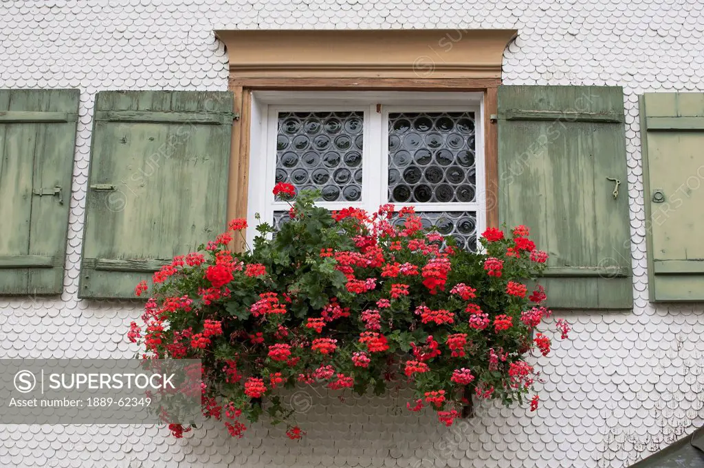 red flowers in a flower box under a window with old green painted shutters, oberstdorf, germany