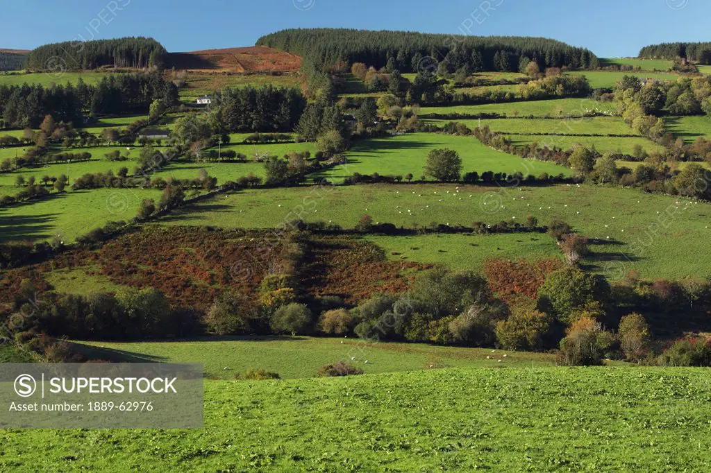 the nire valley in munster region, county tipperary, ireland