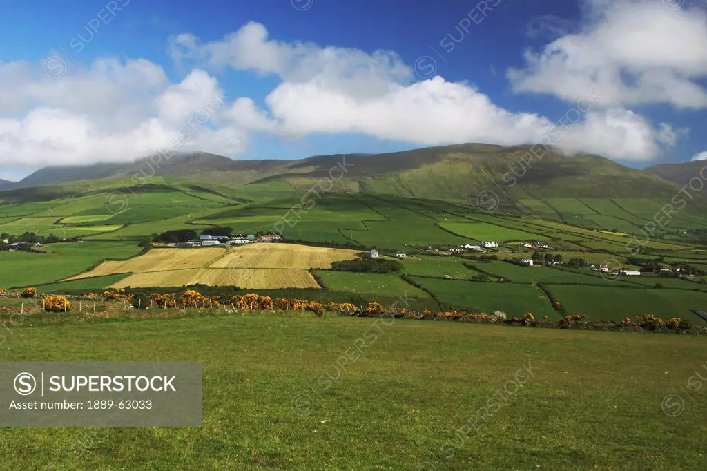 green fields on slieve mish mountain near anascaul in munster region, county kerry, ireland