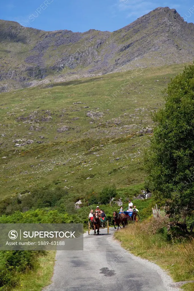 jaunting car coming from gap of dunloe into black valley, black valley, county kerry, ireland