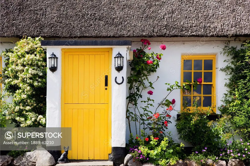 exterior of cottage with yellow door, ballyvaghan, county clare, ireland