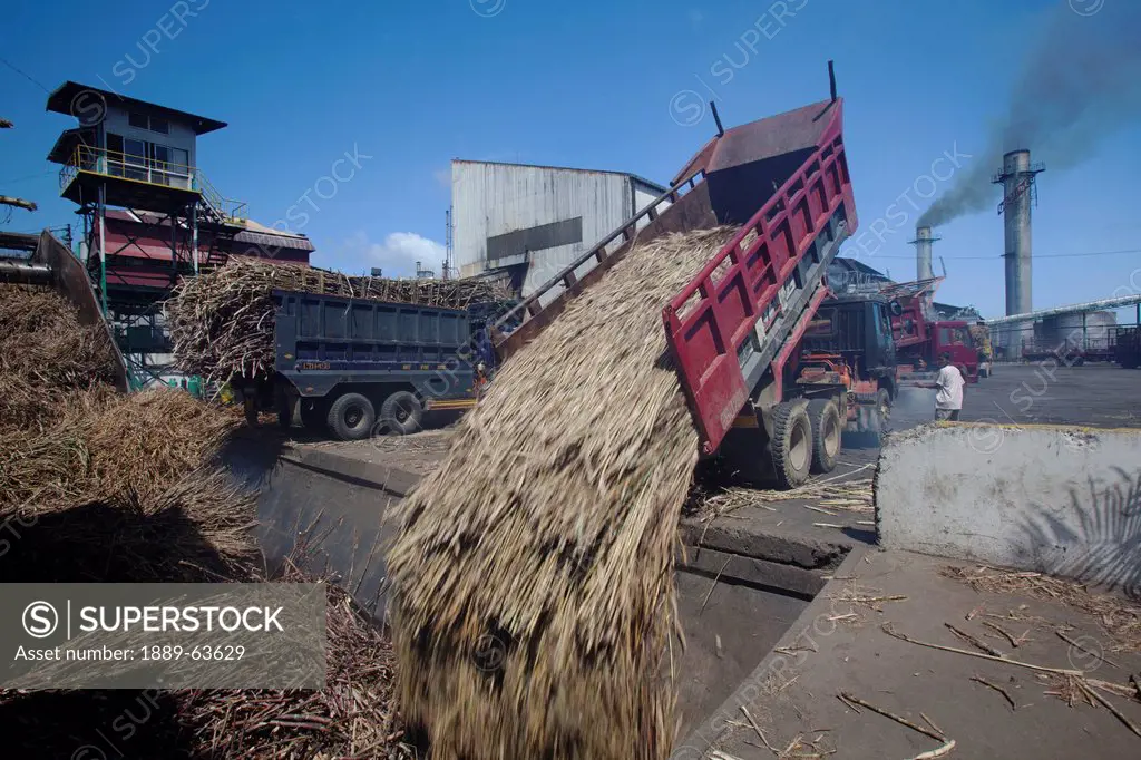 delivery truck dumping raw sugar cane at sugar mill, bais city, negros island, philippines