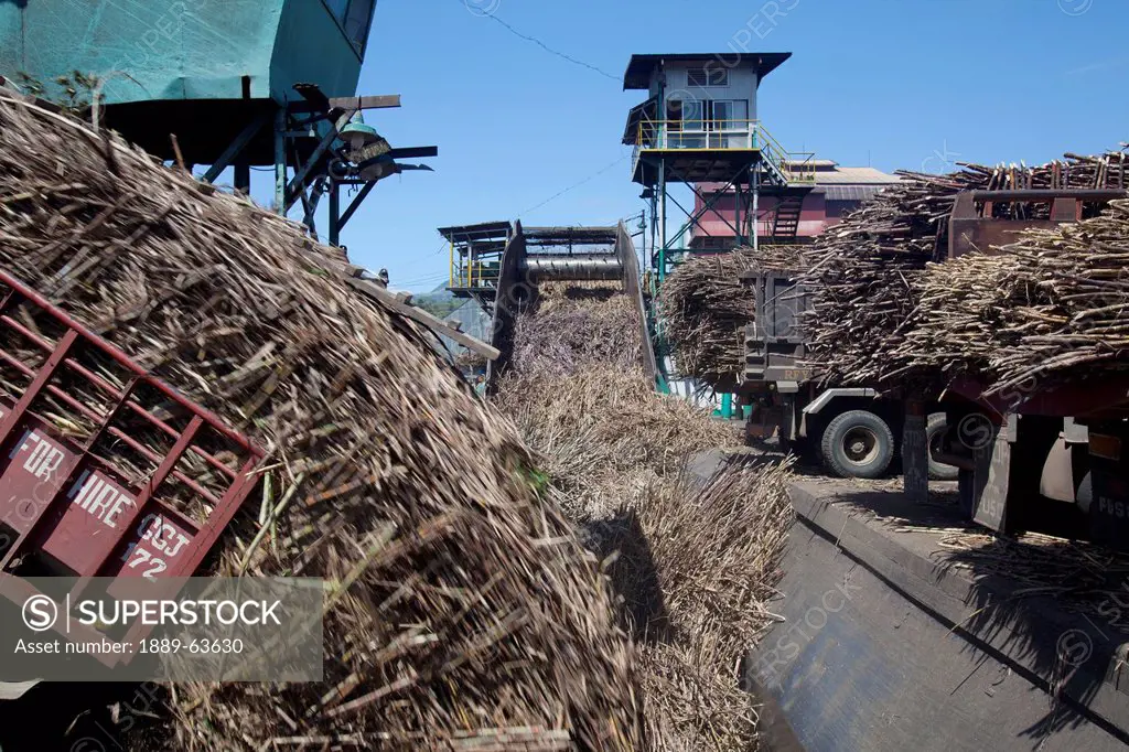 delivery truck dumping raw sugar cane at sugar mill, bais city, negros island, philippines