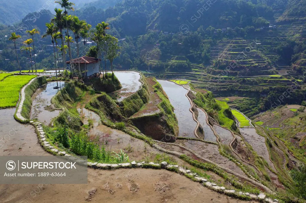 the landscape near the small city of banaue, famous for its ancient mud_walled rice terraces, banaue, cordillera region, north luzon, philippines