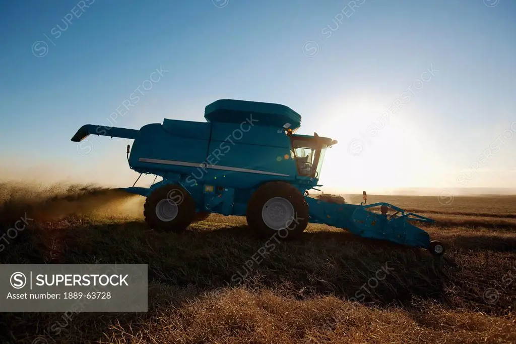 combine tractor in action around sunset, three hills, alberta, canada