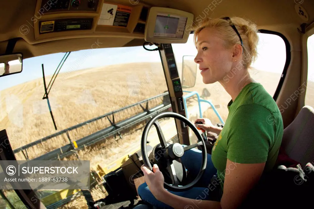 female farmer in cab of combine, three hills, alberta, canada