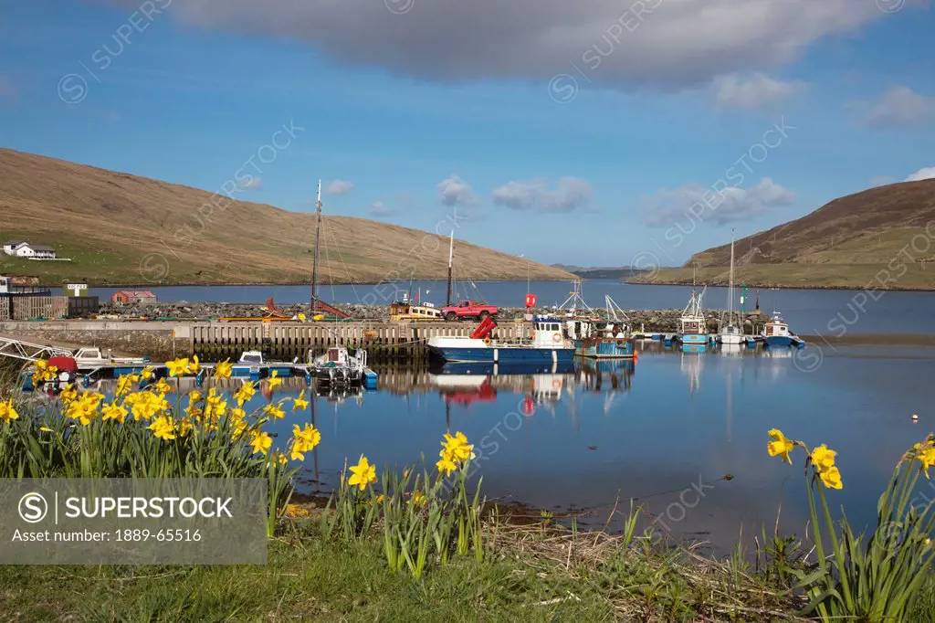 boats in marina, shetland scotland