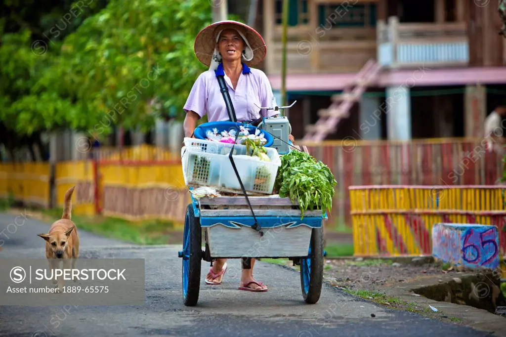 A Lematang Woman Walking With Her Dog And A Cart Full Of Items, Ujan Mas 1 Sumatera Selatan Indonesia