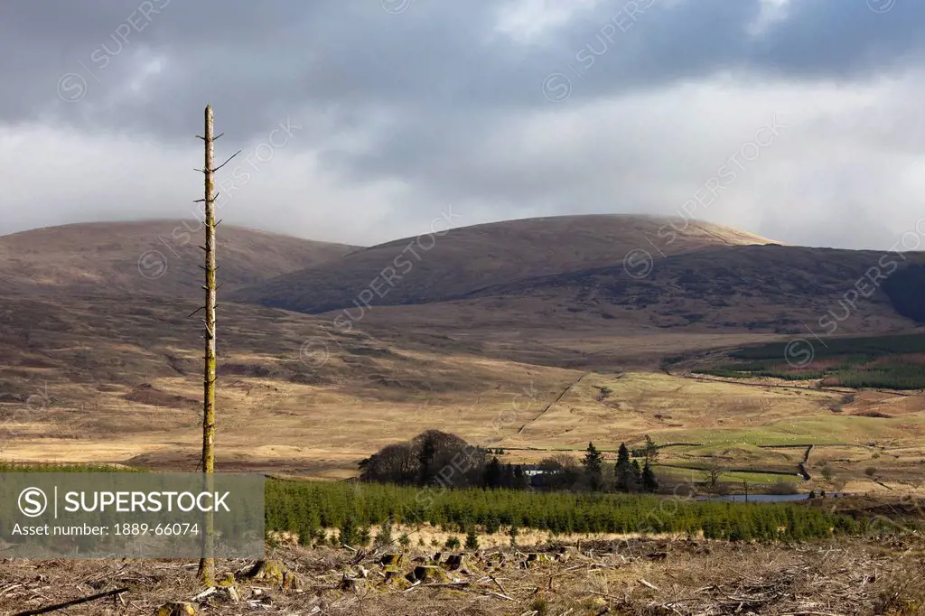 scottish landscape, dumfries, scotland