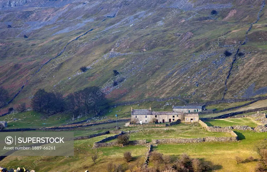 houses and stone fences in a valley, yorkshire dales england