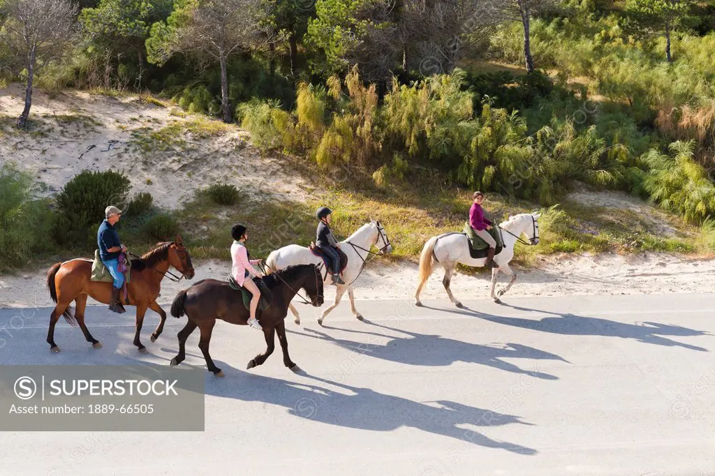 horseback riding along a road by punta paloma, tarifa cadiz andalusia spain