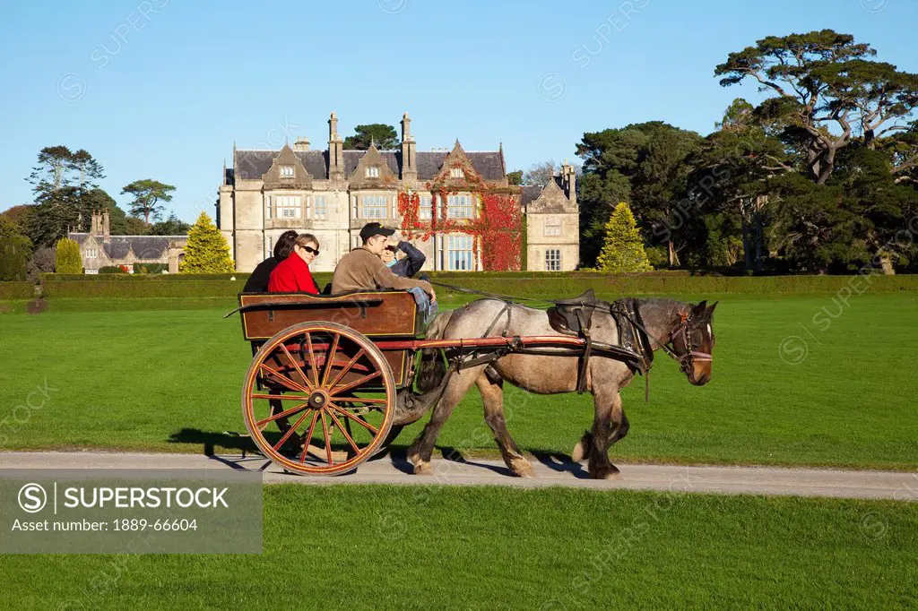 jaunting cart at muckross house in muckross gardens, killarney county kerry ireland