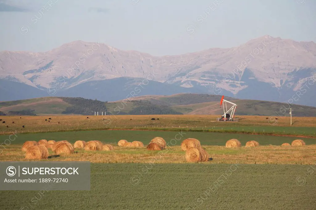 rolling hills and mountains with hay bales and a pumpjack in a field at sunrise, longview alberta canada