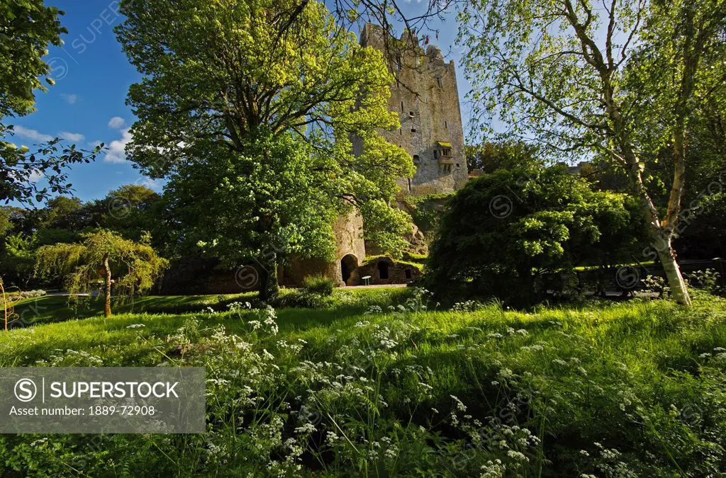 blarney castle and grounds near cork city, county cork ireland