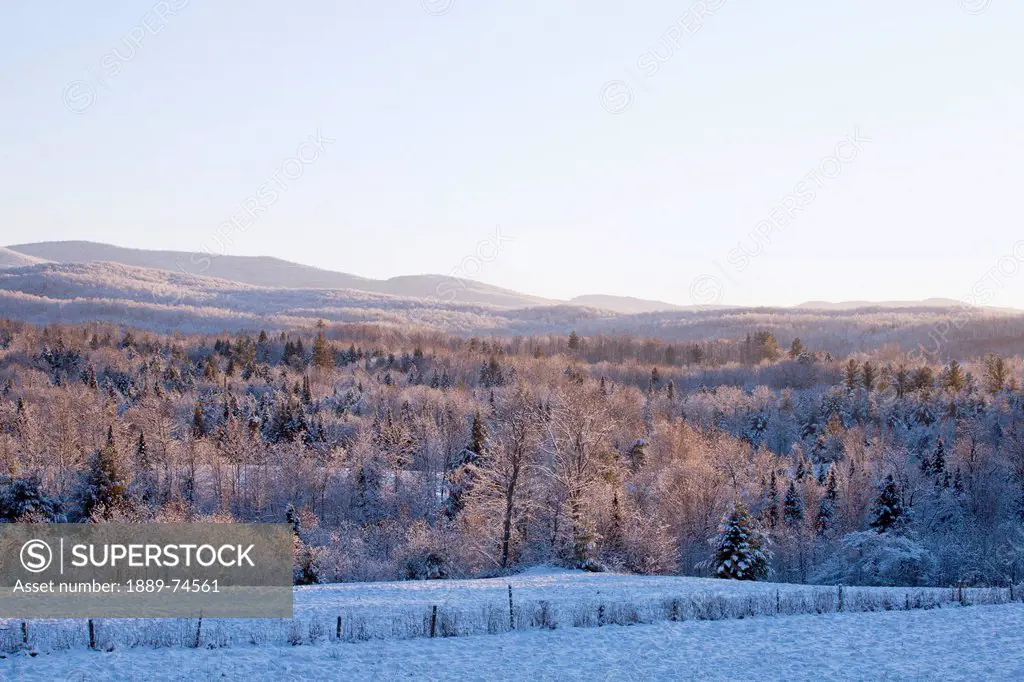 A Forest And Field Covered With Snow And Mountains In The Background, West Bolton Quebec Canada