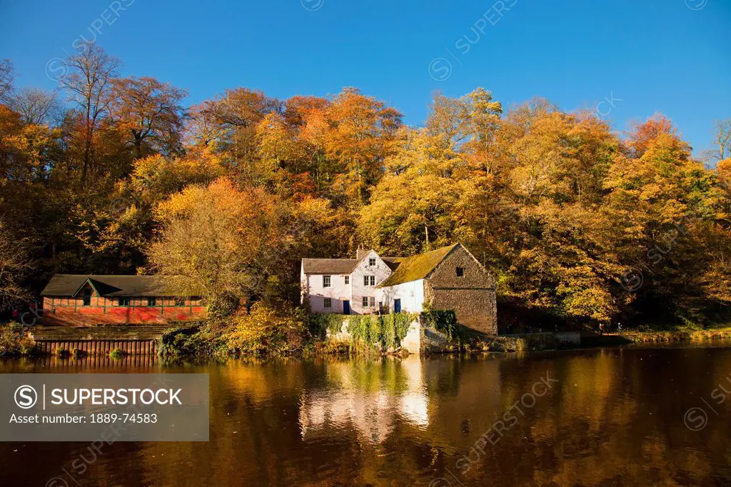 Houses Along The River Reflected In The Water In Autumn, Durham England