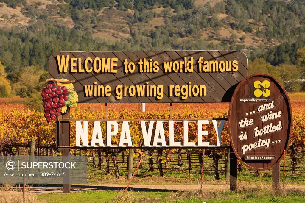 Napa Valley Vineyard In Autumn, California United States Of America