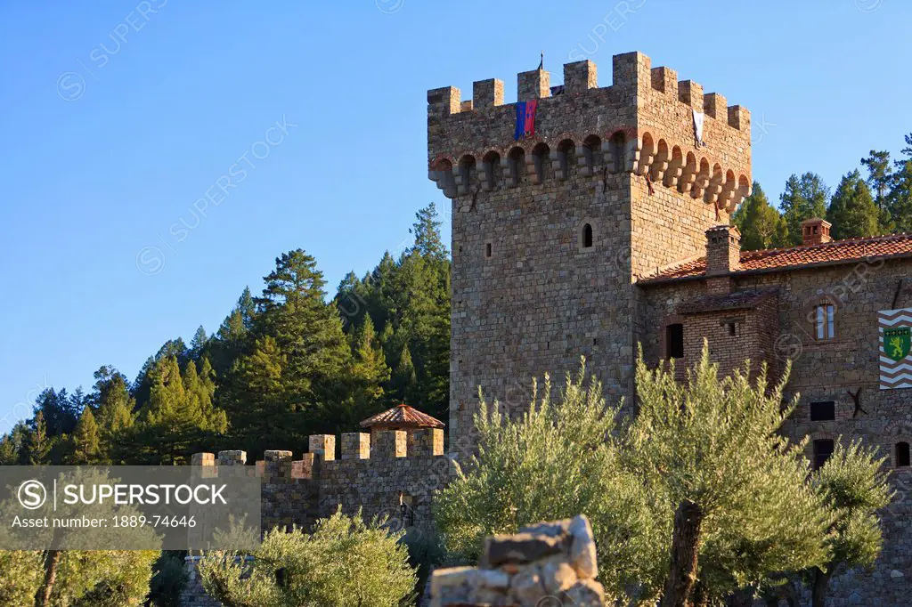Castello Di Amorosa Winery, Napa Area California United States Of America
