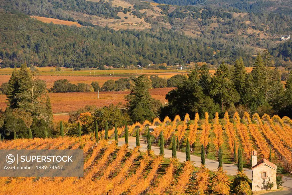 Castello Di Amorosa Winery, Napa Area California United States Of America