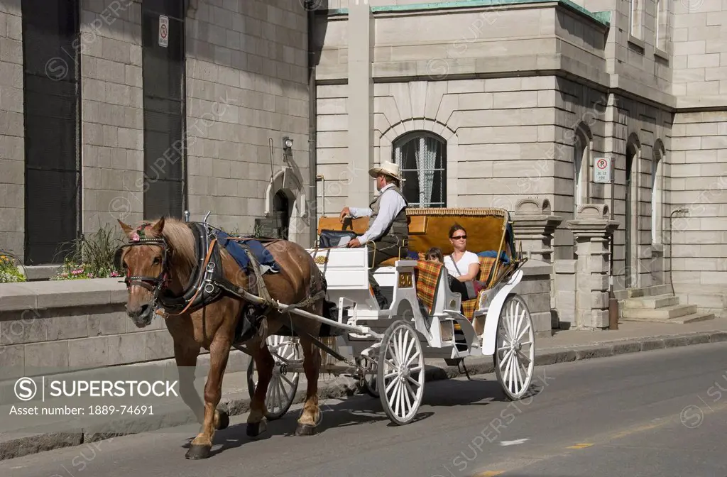 Woman taking a carriage ride