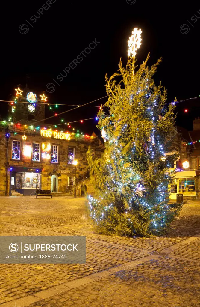 An Outdoor Tree Decorated In Lights For Christmas, Alnwick Northumberland England
