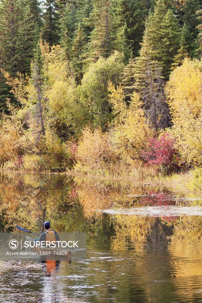 Male Kayaker Paddling On Calm Stream In The Fall With Colours Reflecting On Water, Calgary Alberta Canada