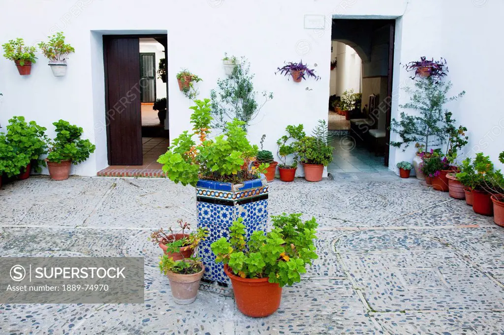 Variety of plants in containers in a courtyard, vejer de la frontera andalusia spain