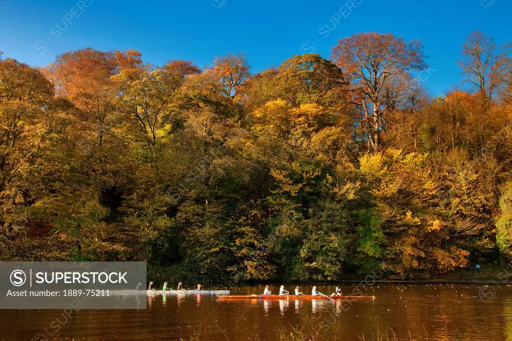 Rowers In Boats Travelling Down A Tranquil River In Autumn, Durham England