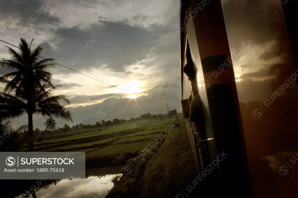 Looking out on a side of a train with the sun setting in the over rice fields, java indonesia