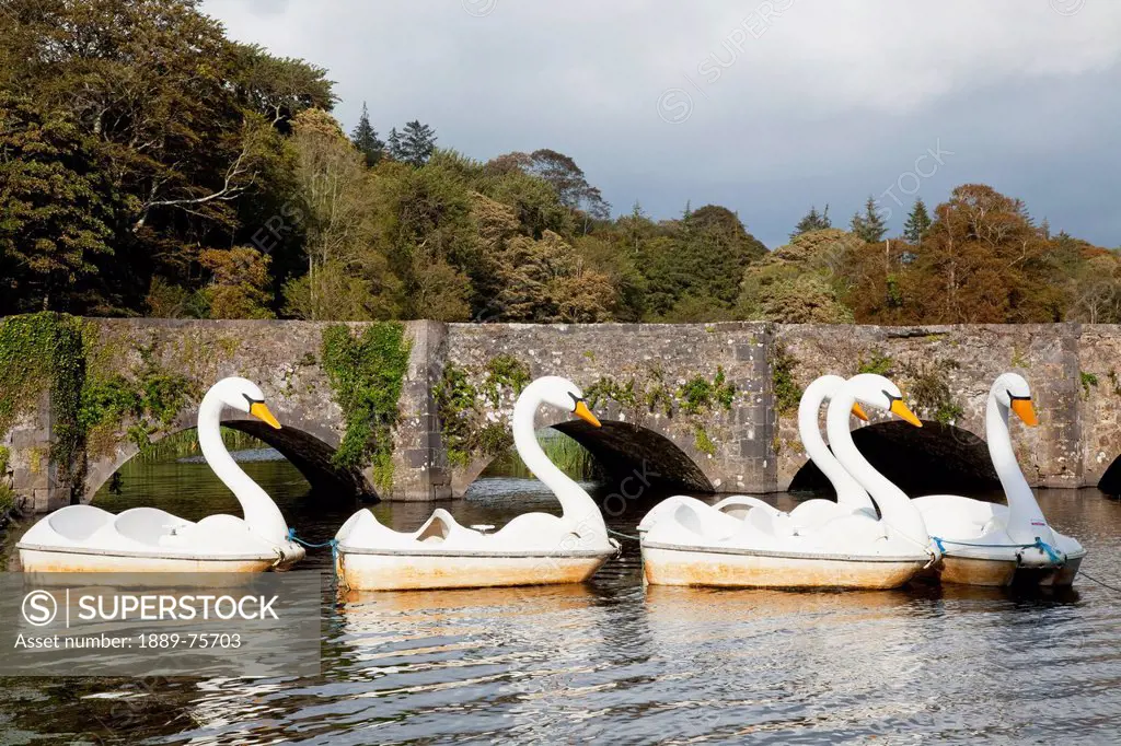 Paddleboats in the shape of a swan, westport county mayo ireland