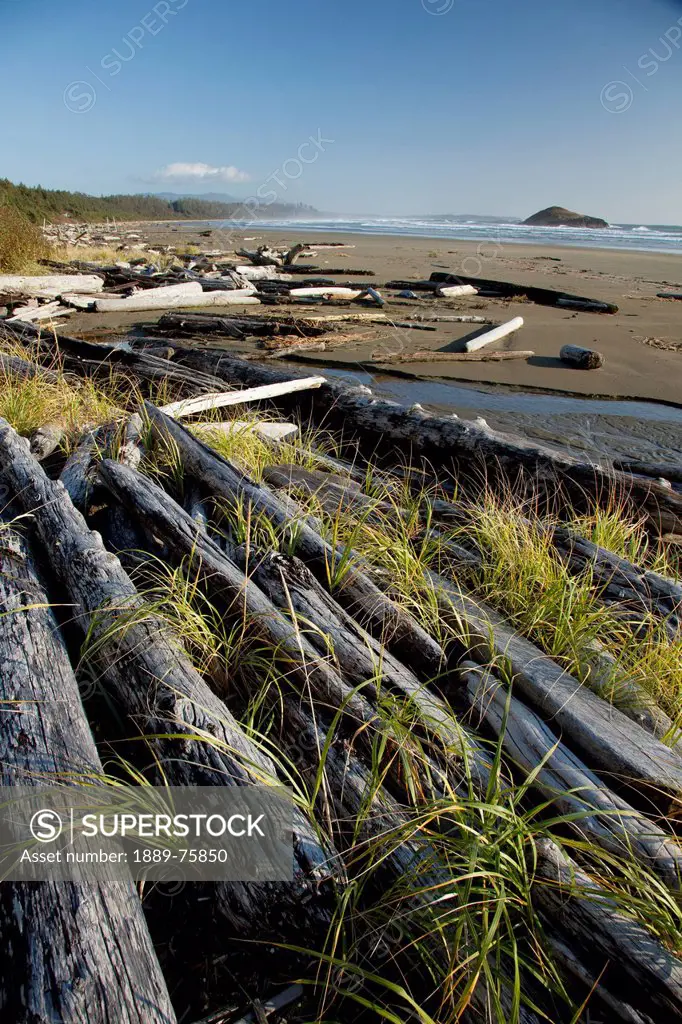 Drift Logs Pile Up Along Long Beach A Surfer´s Paradise In Pacific Rim National Park Near Tofino, British Columbia Canada