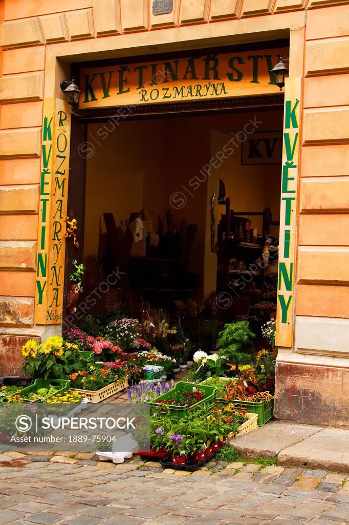 Flower Shop In The Old Town, Chesky Krumlov Jihocesky Czech Republic