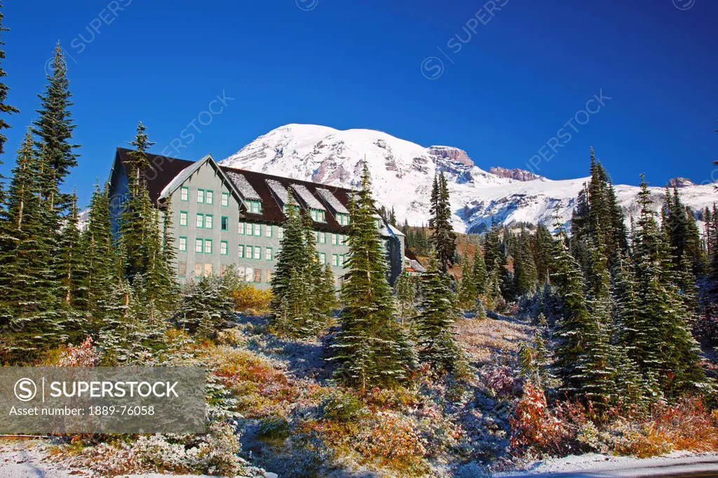 Fresh Snow On Autumn Colours Add Beauty To Mt. Rainier, Washington United States Of America