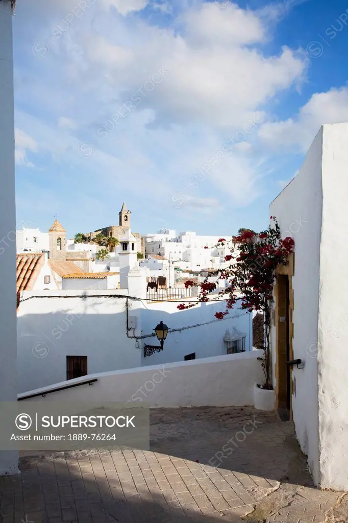 A blossoming vine growing along the side of a white building with a cityscape of white buildings, vejer de la frontera andalusia spain