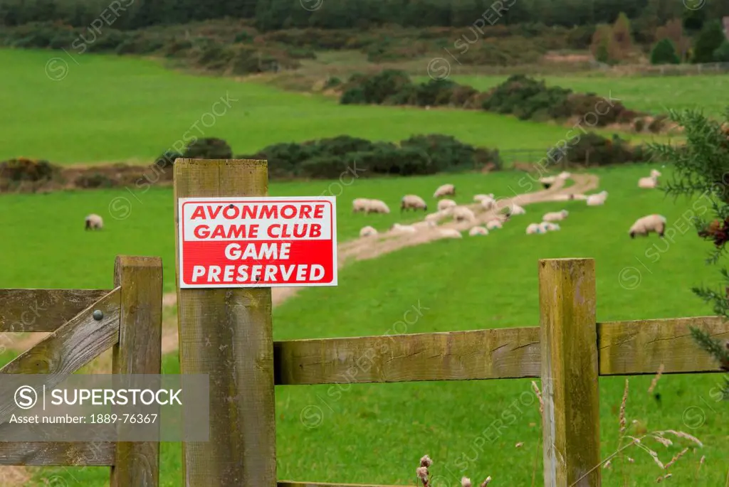 Sign On A Wooden Fence Post For Avonmore Game Club, County Cork Ireland