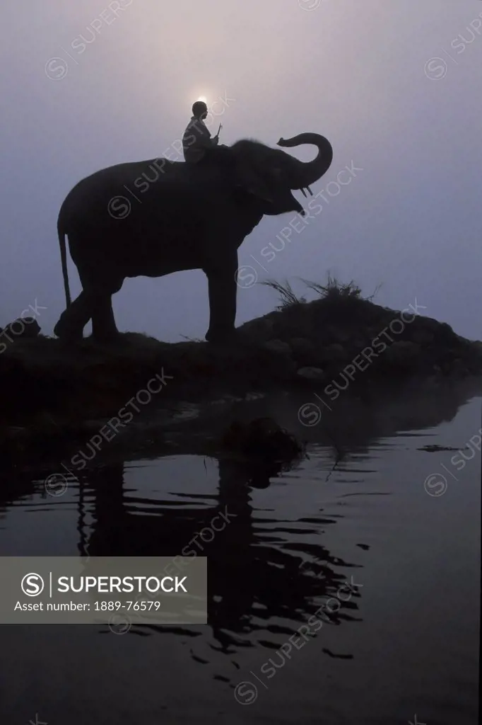 An Elephant With Its Mahout Stand At The Edge Of The Rapti River Near Sauraha And Chitwan National Park, Nepal