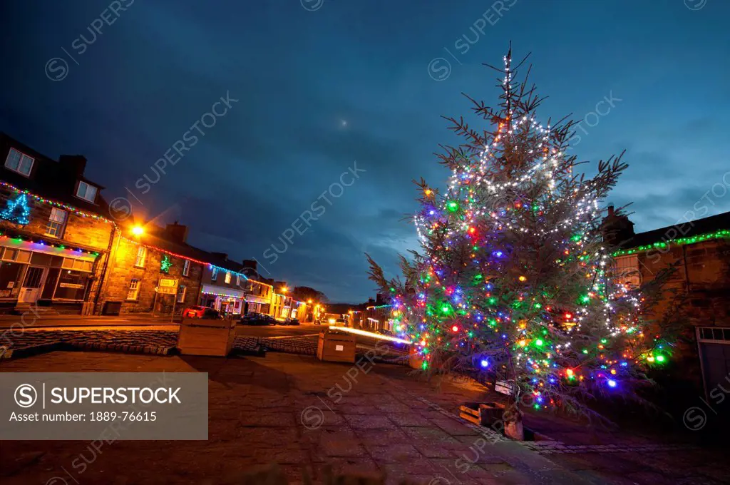 An Outdoor Tree Decorated In Colourful Lights For Christmas, Belford Northumberland England