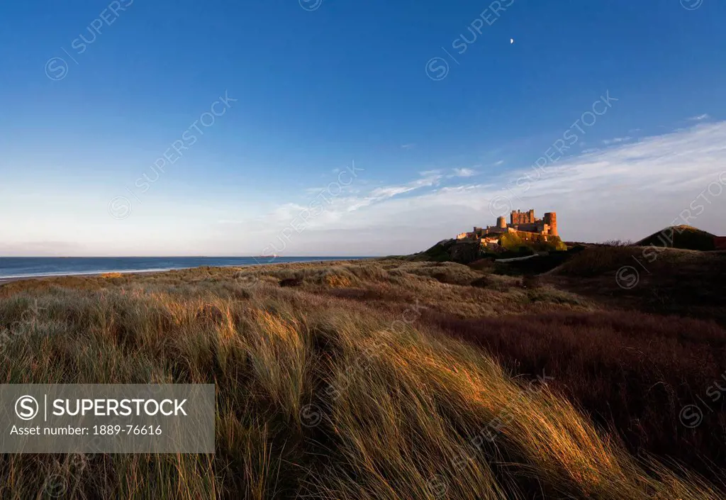 Tall Grass Blowing In The Wind With Bamburgh Castle In The Distance, Bamburgh Northumberland England