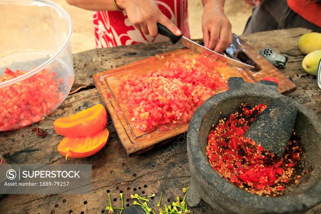 homemade salsa preparation at sierra la laguna near los cabos area, san jose del cabo baja california mexico