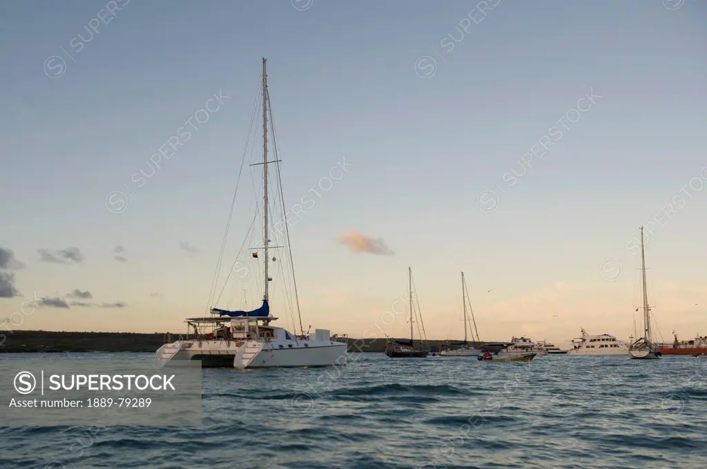 boats in puerto ayora harbor off santa cruz island at dusk, galapagos equador