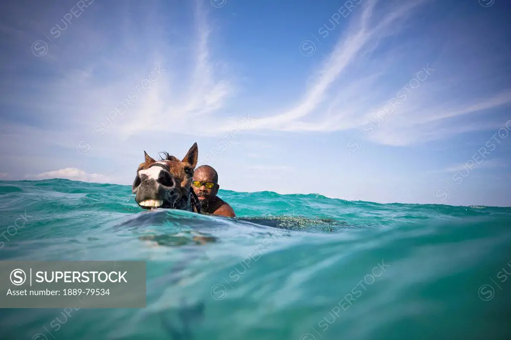 A Man Swims With A Horse In The Ocean, Runaway Bay Jamaica