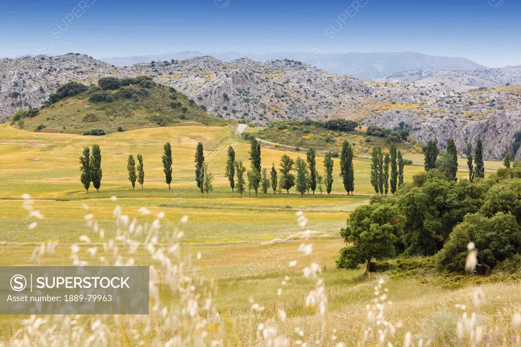 Landscape Near Montejaque, Malaga Province Andalusia Spain