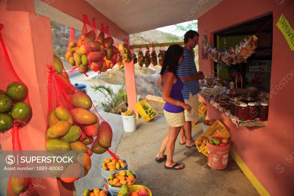 a couple looks at a roadside fruit stand near los cabos area, san jose del cabo baja california sur mexico