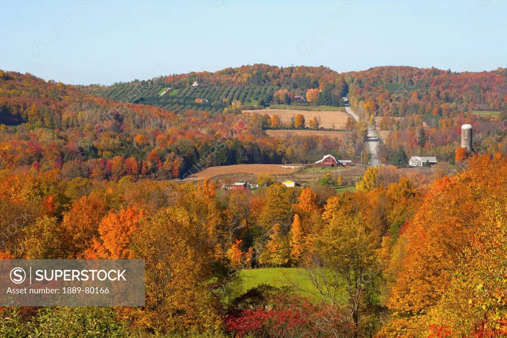 a landscape of farmland in autumn, frelighsburg quebec canada